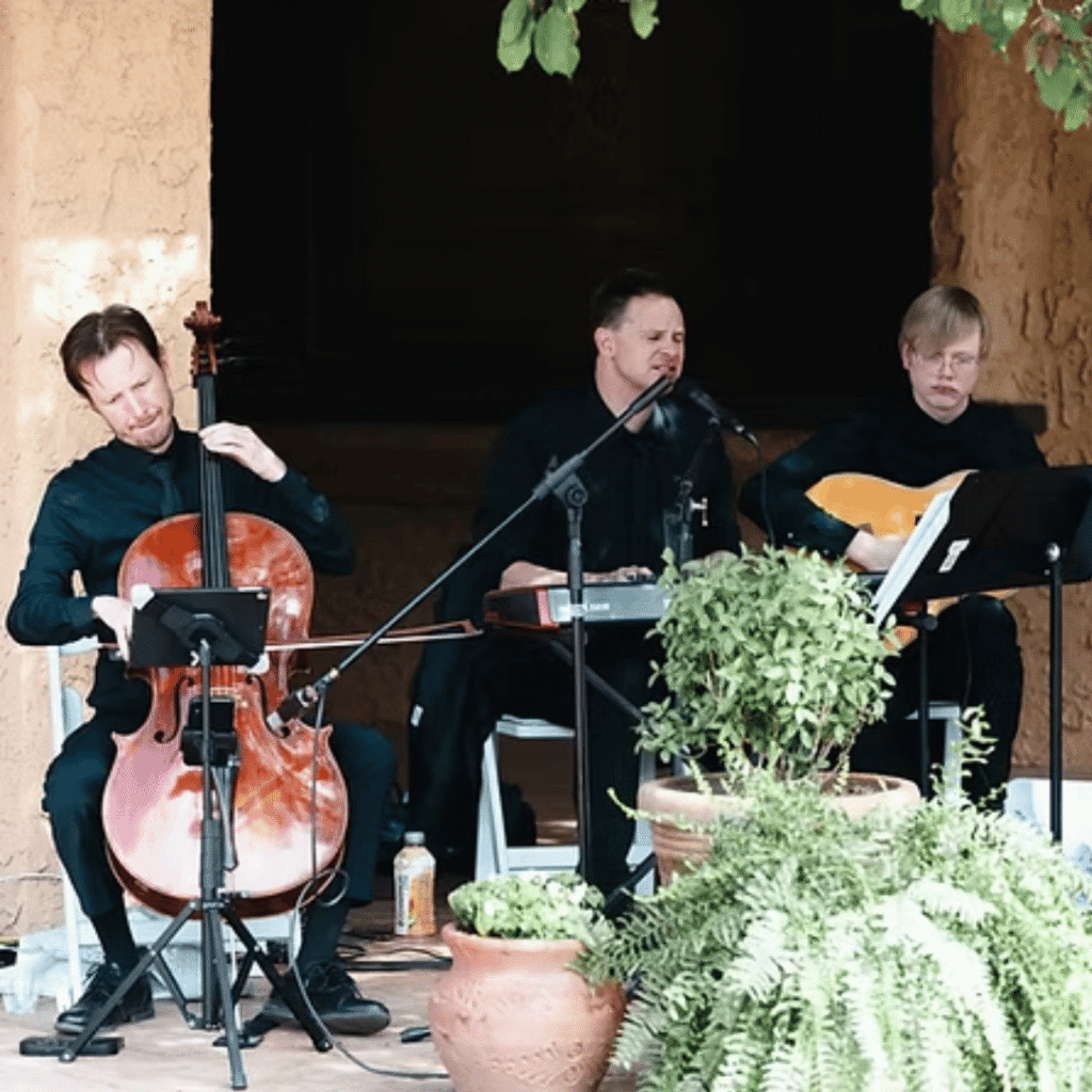 wedding ceremony musician