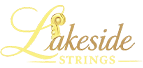 Lakeside Strings for The Music Party