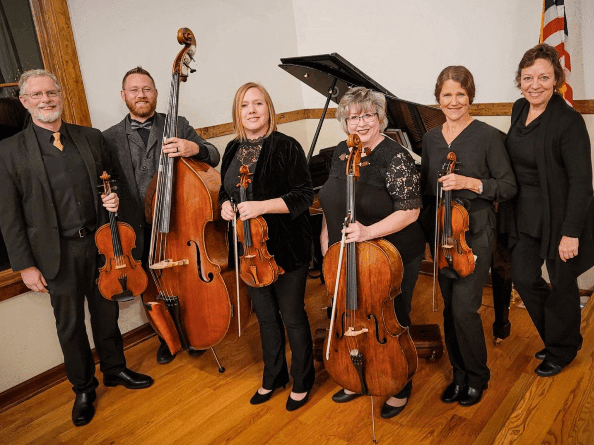 Lakeside Strings for The Music Party
