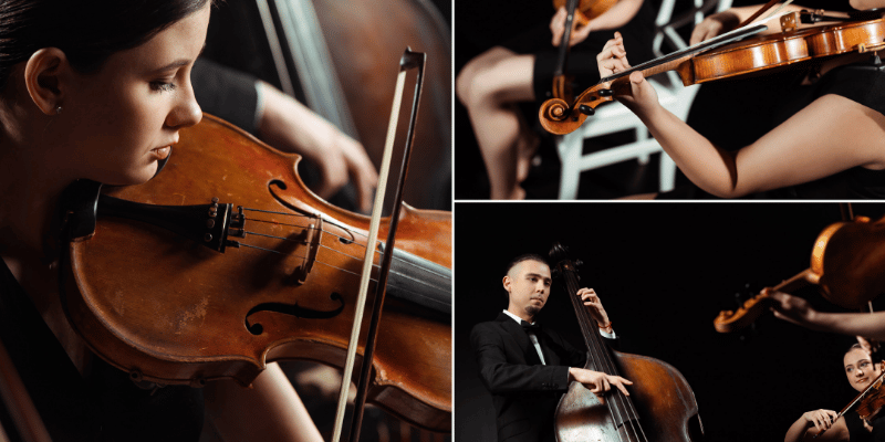 lakeside strings with the music party