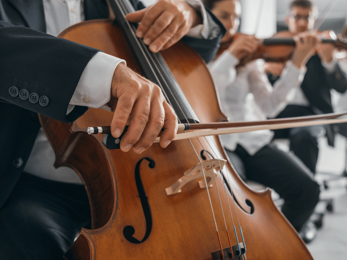 String Ensemble for Elegant Events